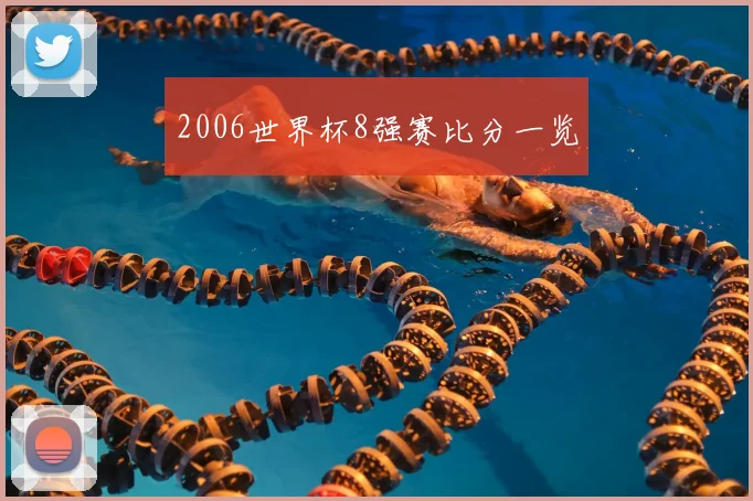 2006世界杯8强赛比分一览