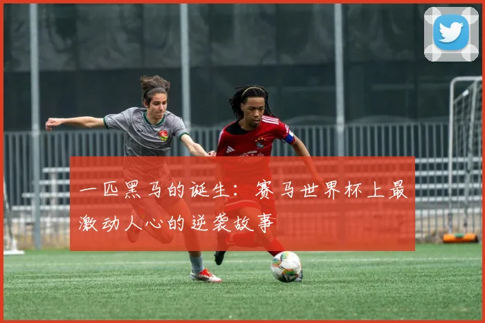 一匹黑马的诞生：赛马世界杯上最激动人心的逆袭故事