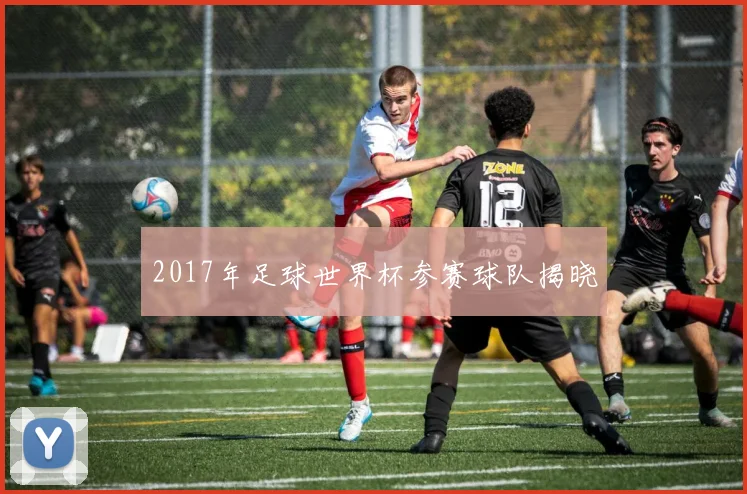 2017年足球世界杯参赛球队揭晓
