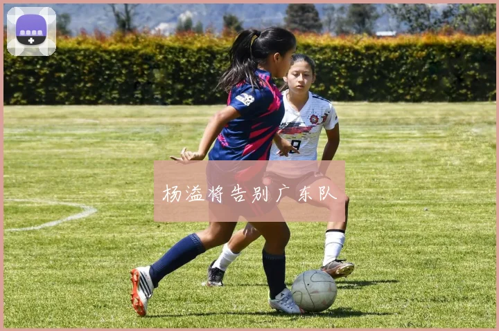 杨溢将告别广东队