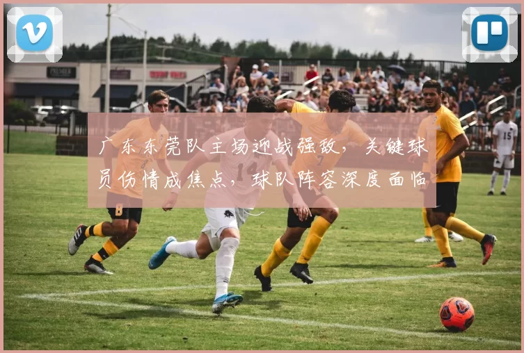 广东东莞队主场迎战强敌，关键球员伤情成焦点，球队阵容深度面临考验