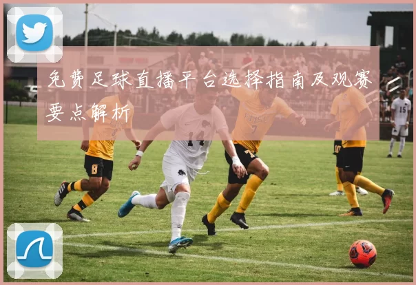 免费足球直播平台选择指南及观赛要点解析