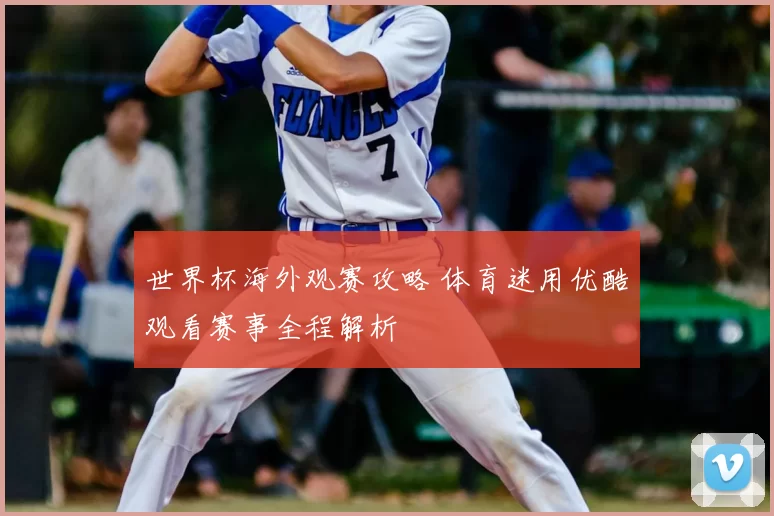 世界杯海外观赛攻略 体育迷用优酷观看赛事全程解析